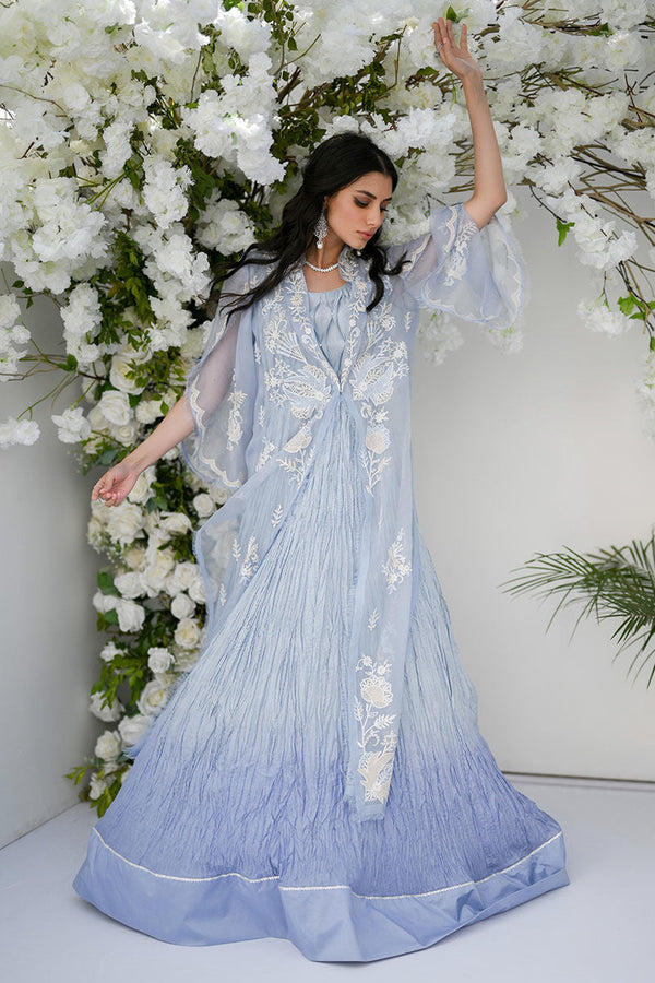 Cinderella Blue _ Jacket And Gown - Dupatta