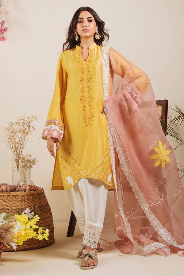 Zaina - Lace Shalwar