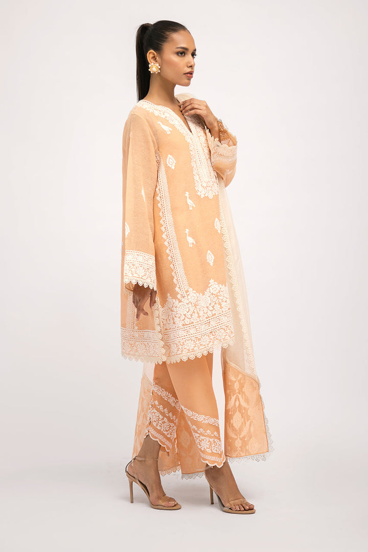 Shirt & Dupatta-Khaddi Corduroy