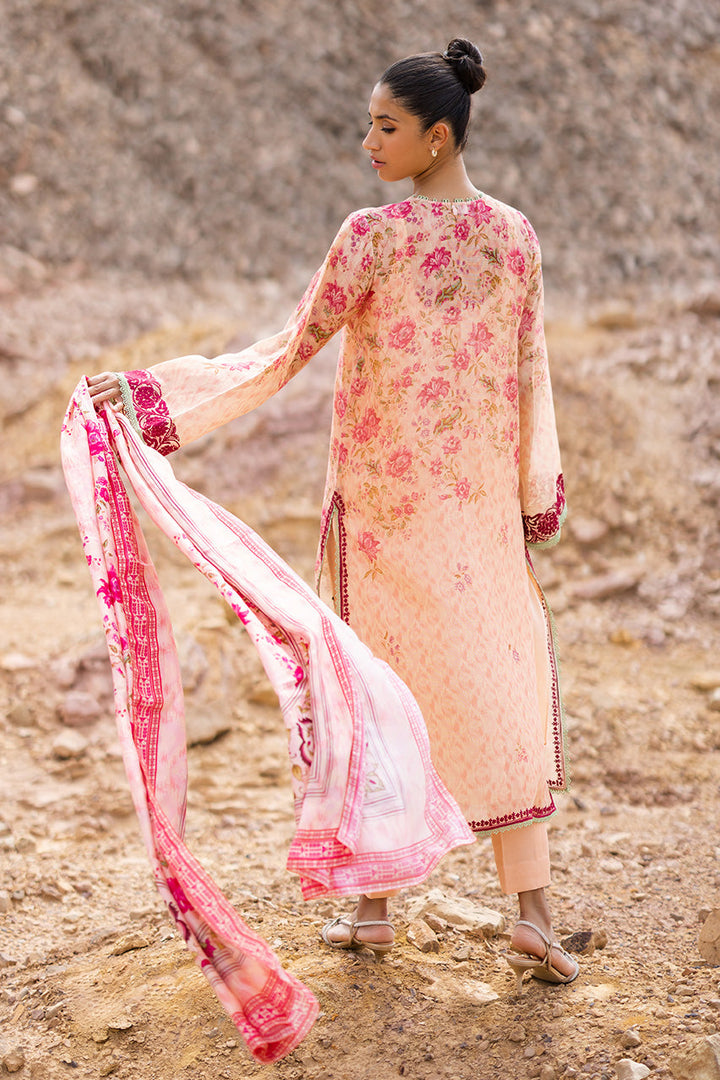 jenna-Luxe Pret-Shirt & Dupatta-Cotton Net / Medium Silk-Clothing