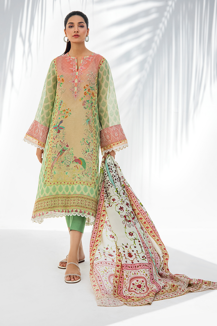 Shirt & Dupatta-Cotton Net