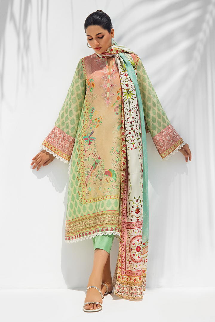 Shirt & Dupatta-Cotton Net