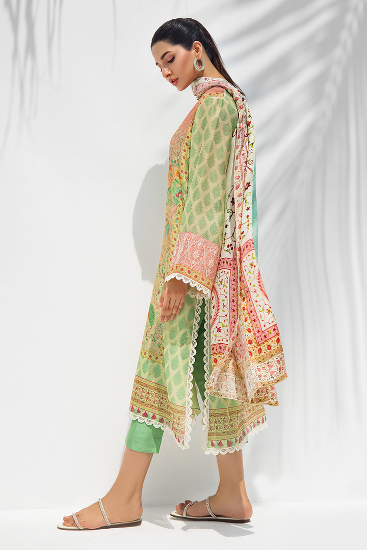 Shirt & Dupatta-Cotton Net