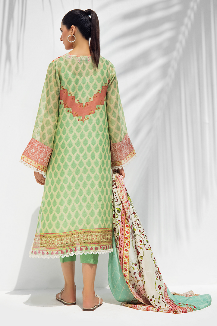 Shirt & Dupatta-Cotton Net