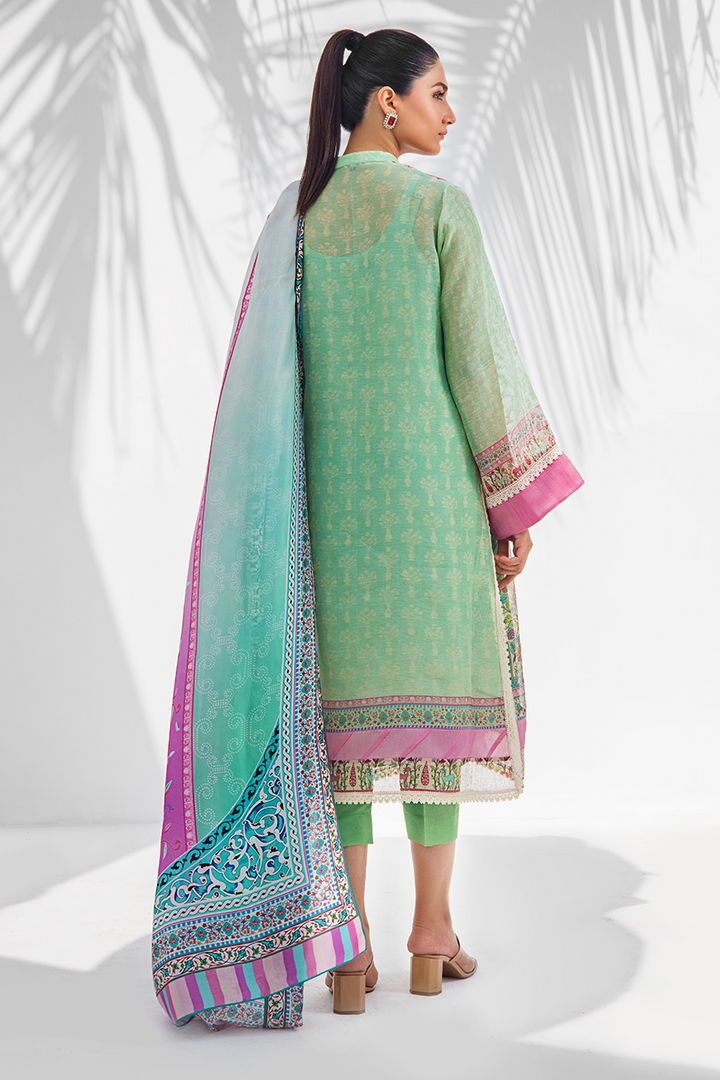 Shirt & Dupatta-Cotton Net