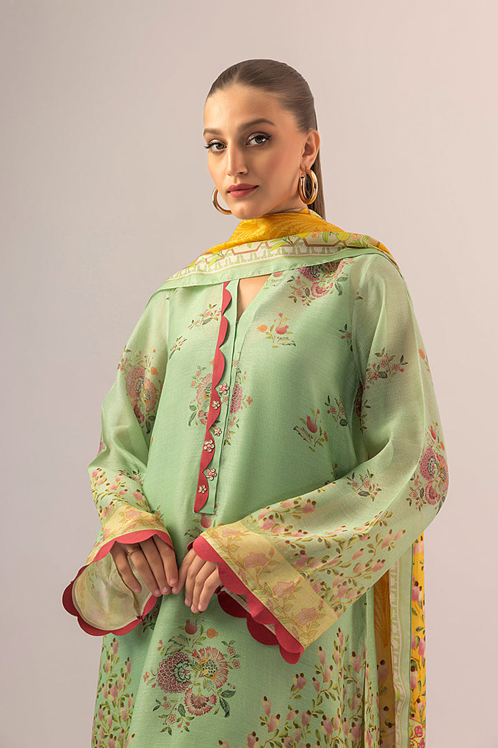 Shirt & Dupatta-Cotton Net