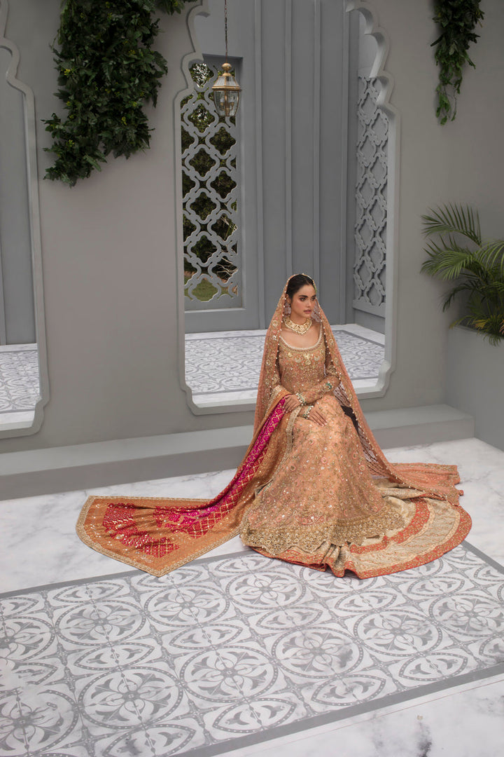 Full Set With Chunri Dupatta-Net