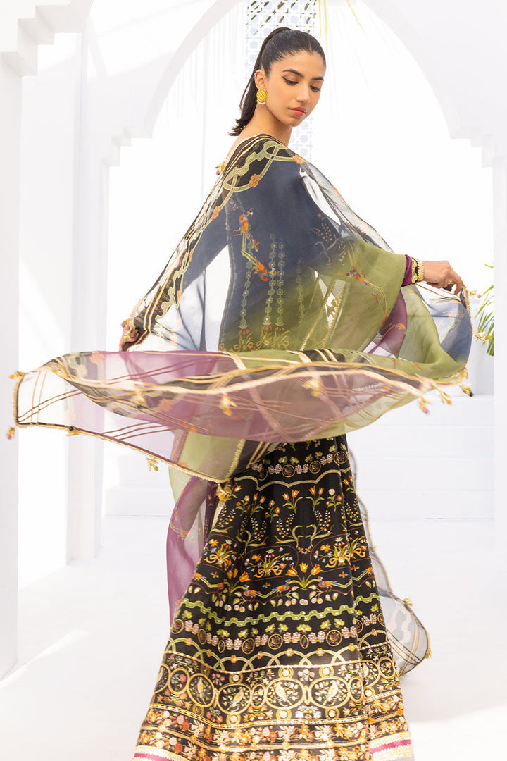 Peshwas & Dupatta-Raw Silk