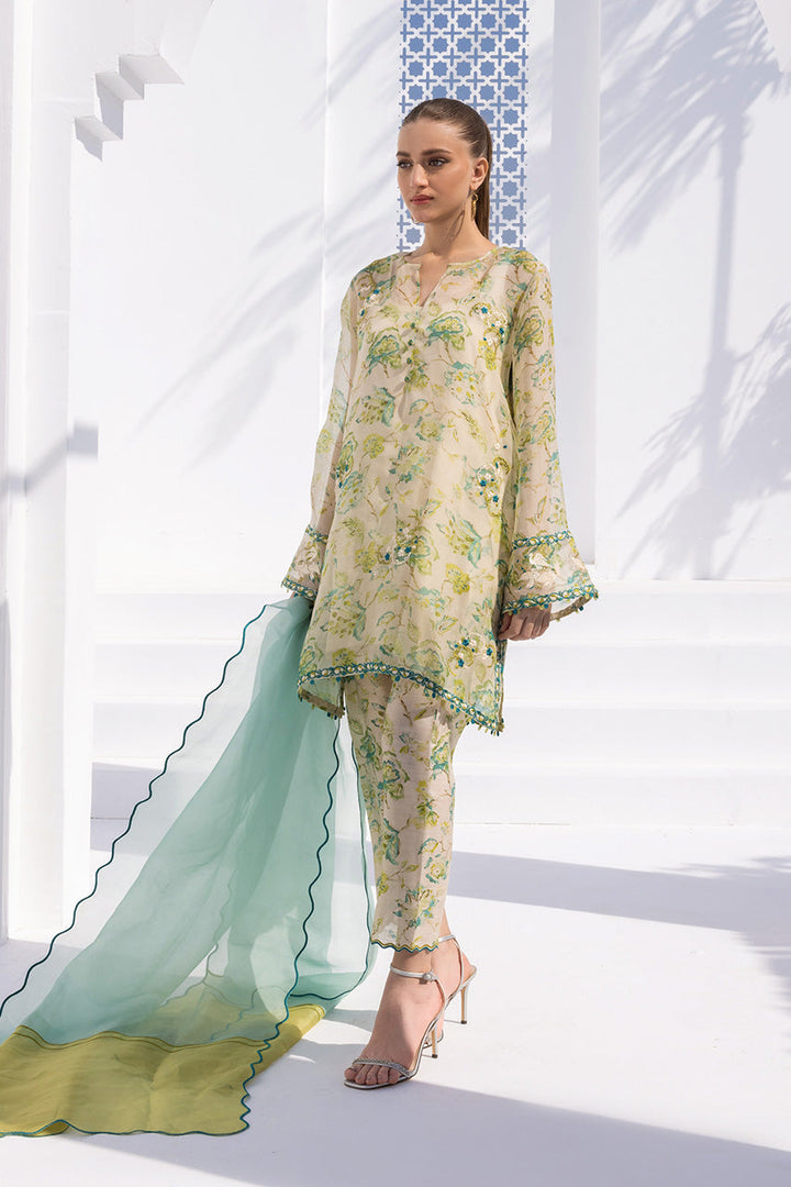 Kurta & Dupatta-Organza