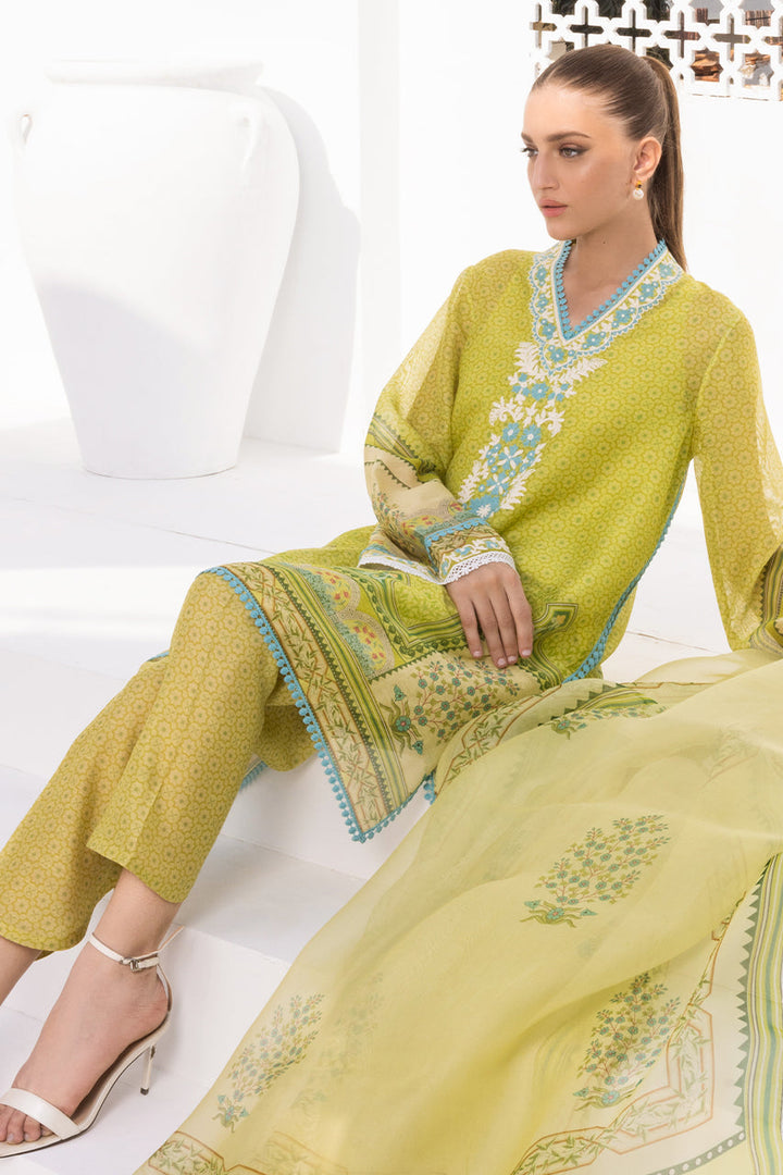 Shirt & Dupatta-Cotton Net