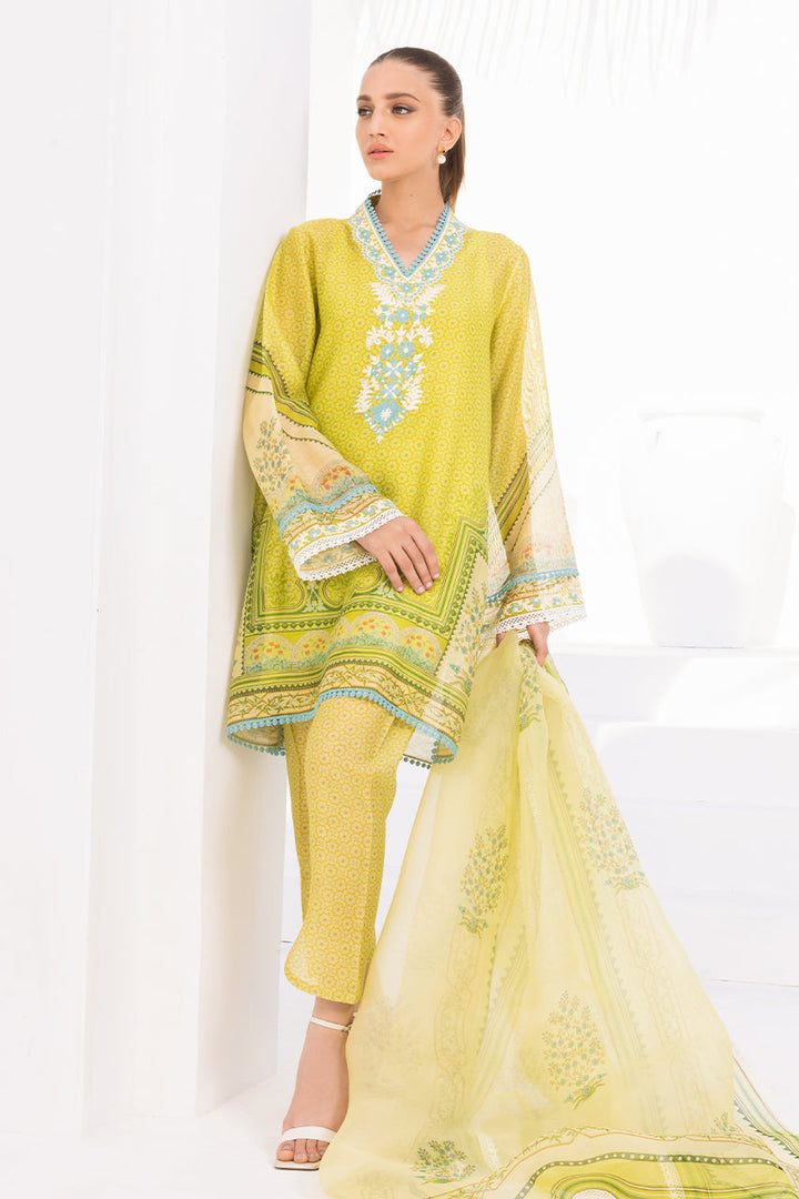 Shirt & Dupatta-Cotton Net