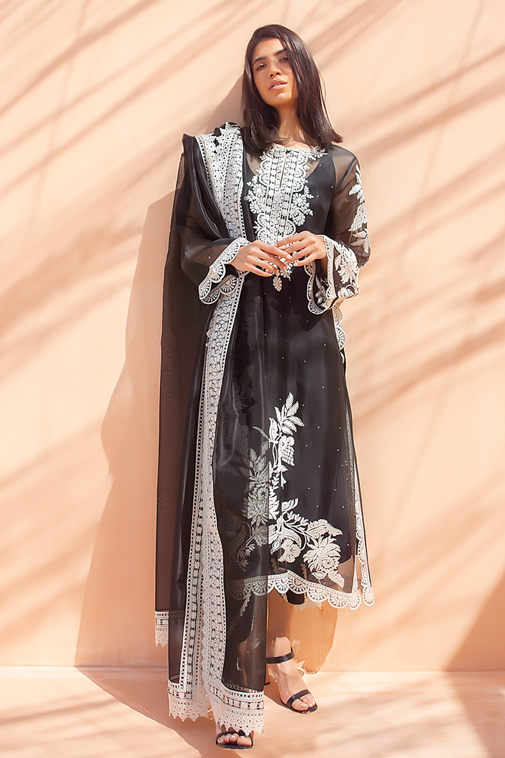 Shirt & Dupatta-Organza