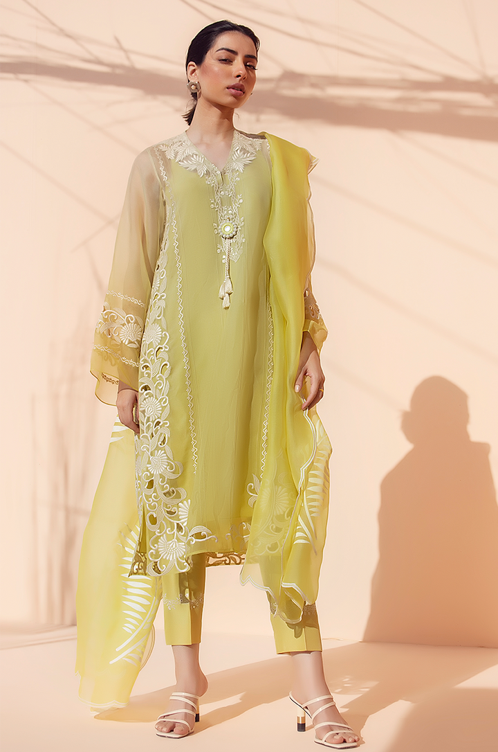 Shirt & Dupatta-Organza