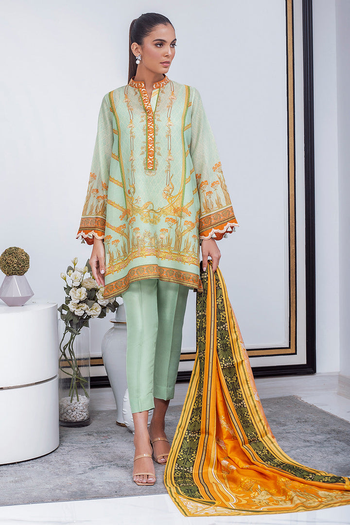 Shirt & Dupatta-Cotton Net