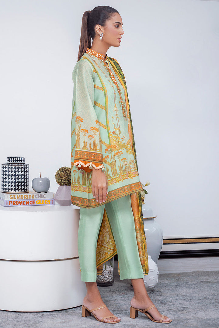 Shirt & Dupatta-Cotton Net