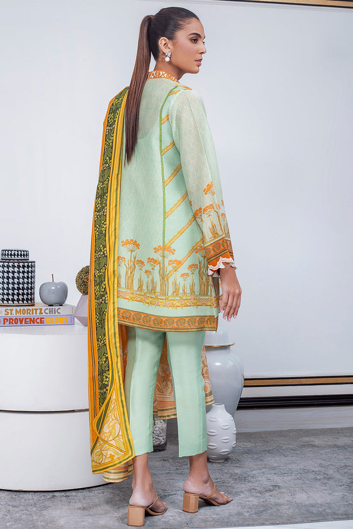 Shirt & Dupatta-Cotton Net