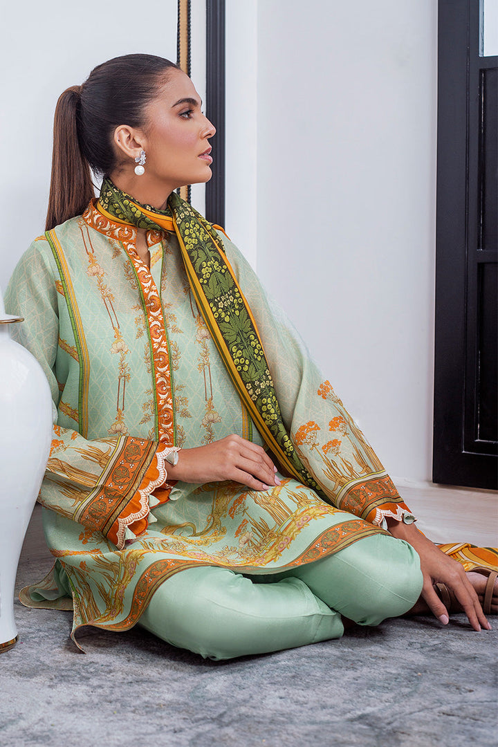 Shirt & Dupatta-Cotton Net