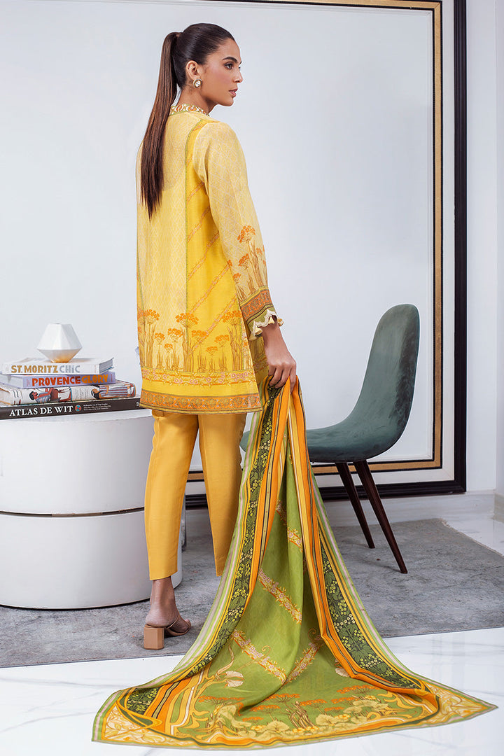 Shirt & Dupatta-Cotton Net