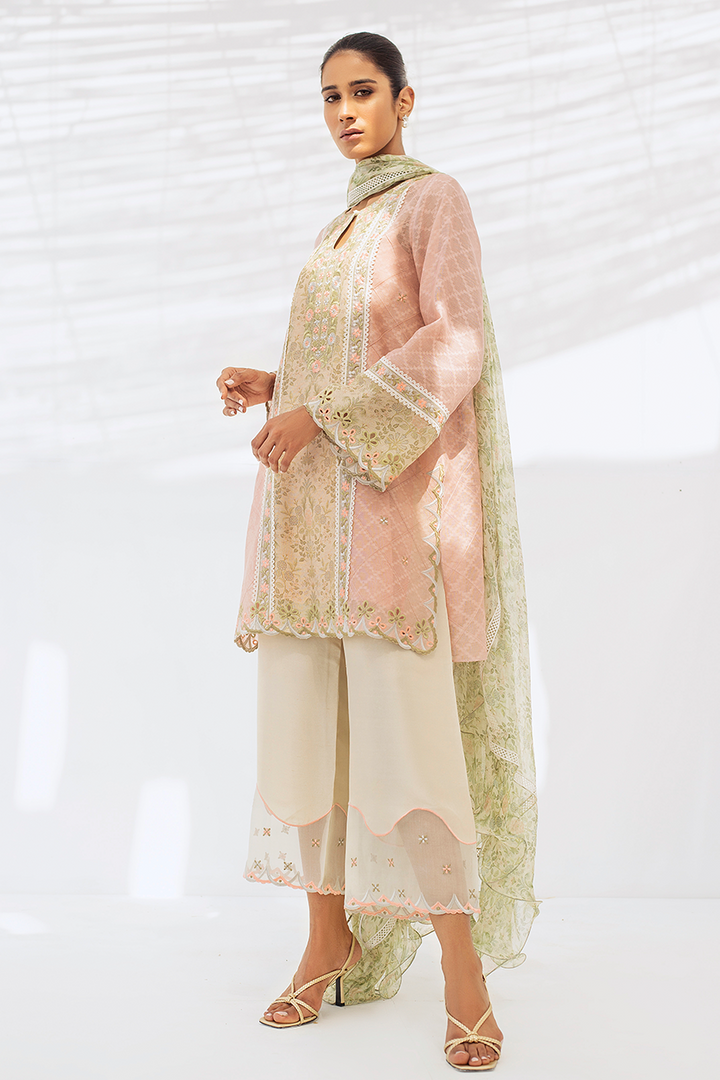 Shirt & Dupatta-Cotton Net