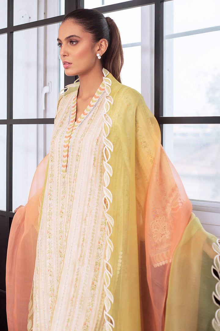 Kurta & Dupatta-Khaddi Silk