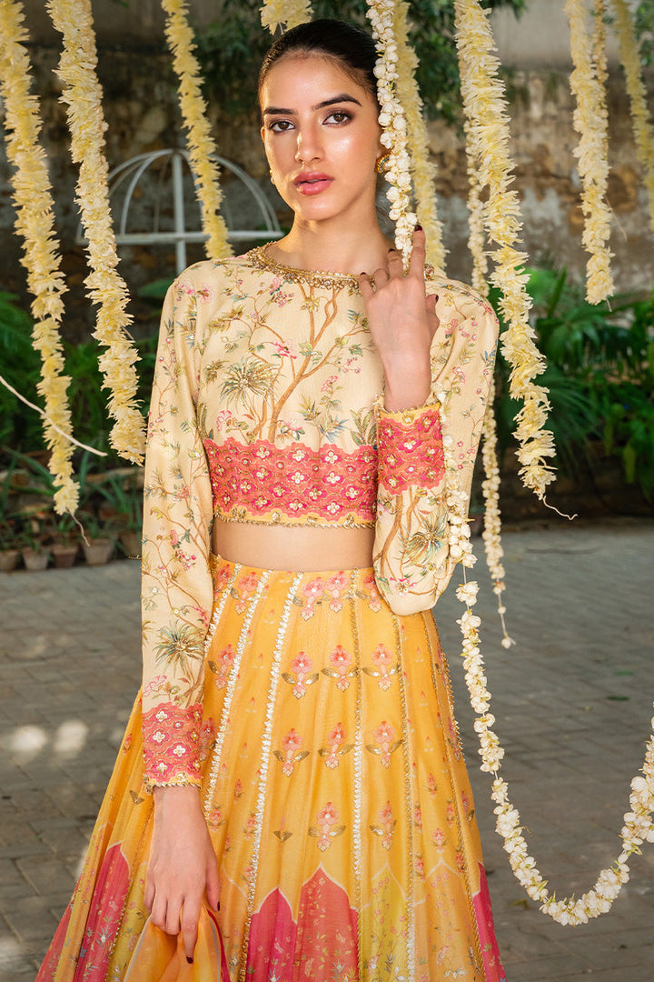 Choli, lehnga & Dupatta-Cotton Net