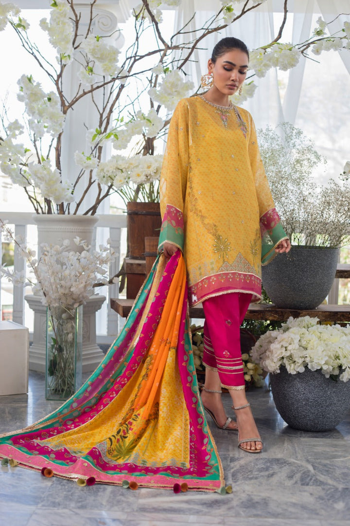 Kurta & Dupatta-Cotton Net