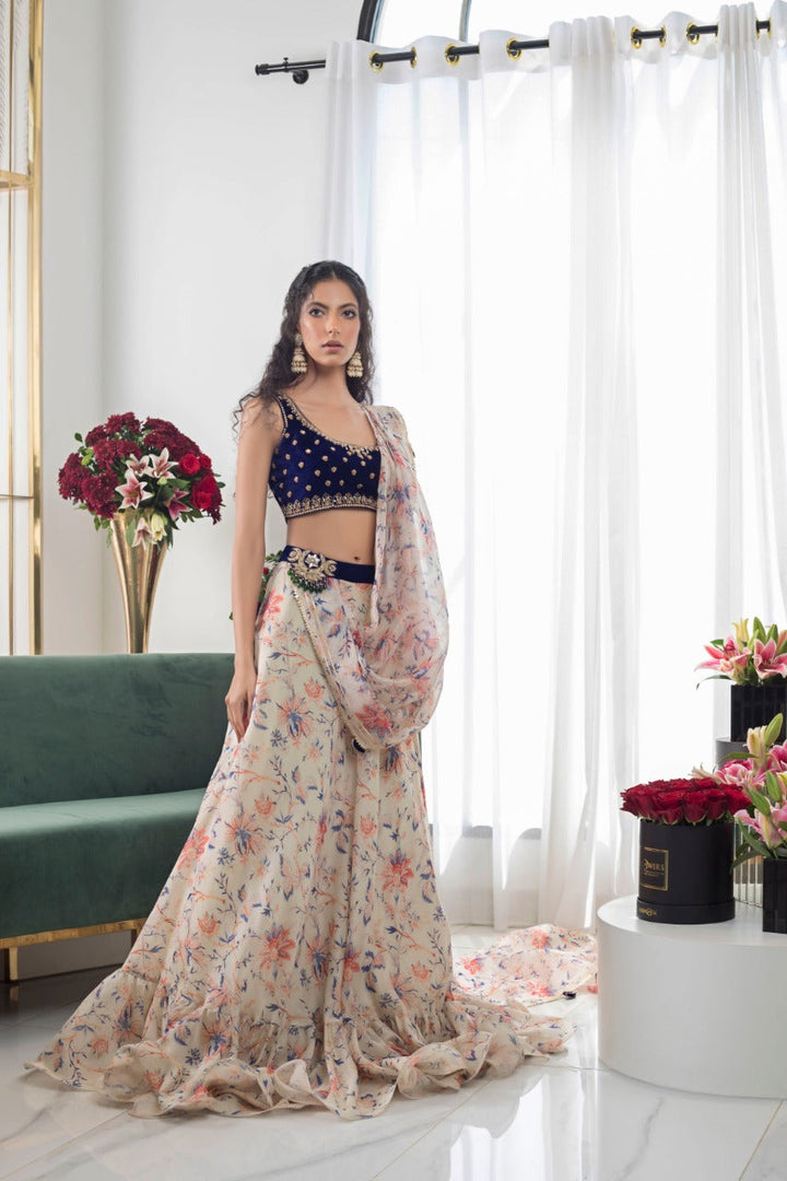 Choli & lehnga-Velvet