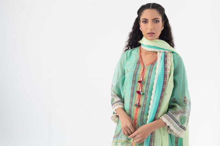 Shirt & Dupatta-Cotton Net