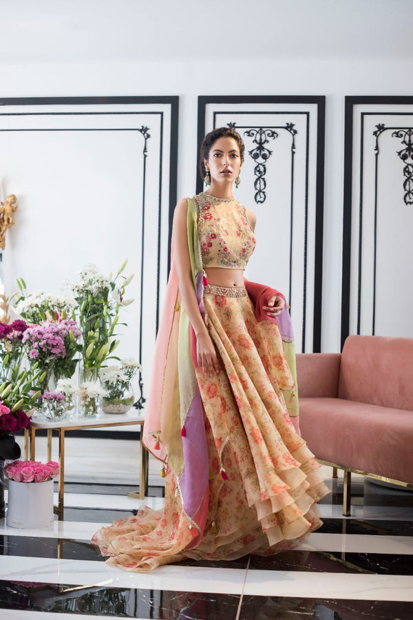 lehnga & Choli-Organza