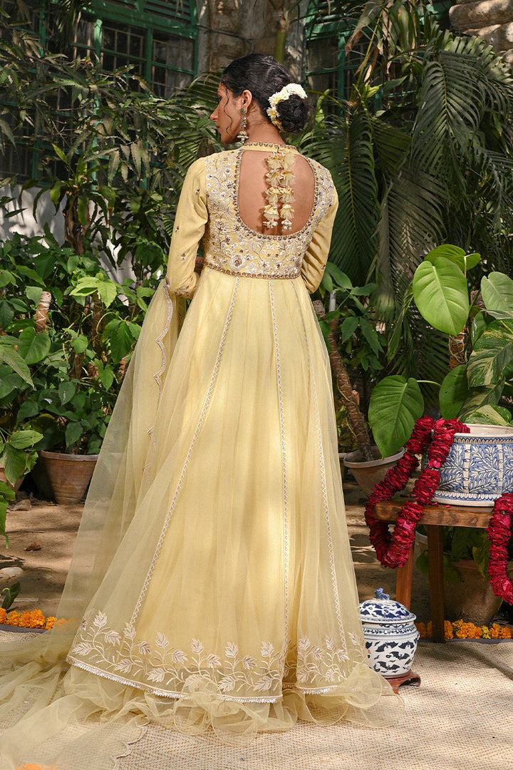 Peshwas with Draped Dupatta-Net