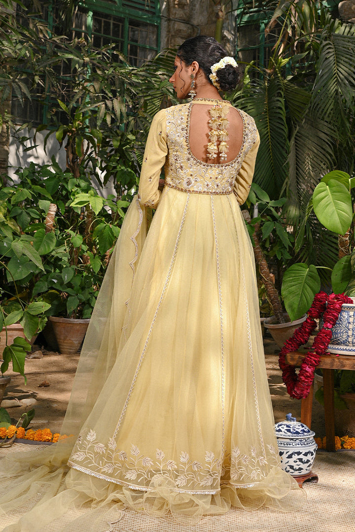 Peshwas with Draped Dupatta-Net